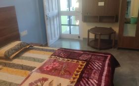 Tree Valley Homestay Chail