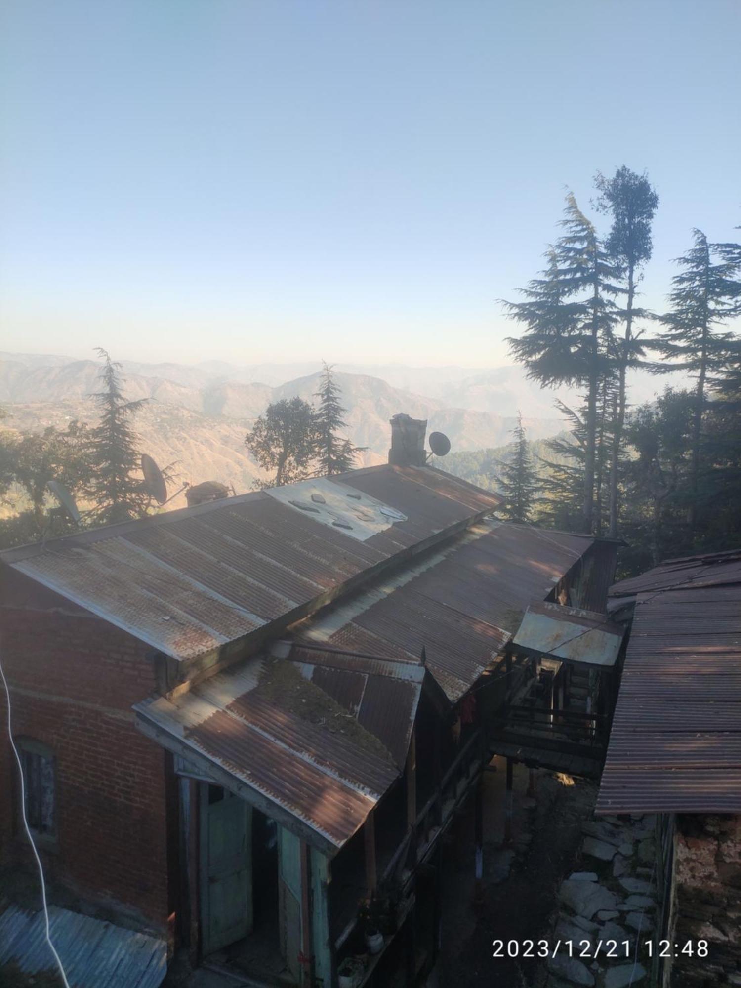 Tree Valley Homestay Chail Exterior photo