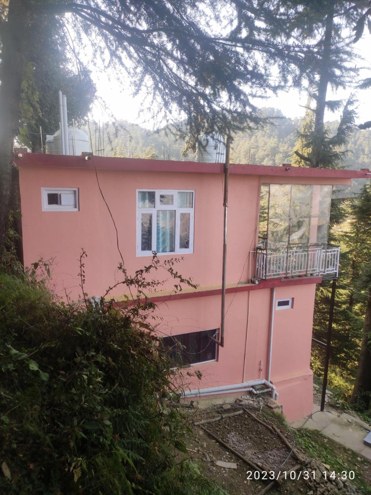 Tree Valley Homestay Chail Exterior photo