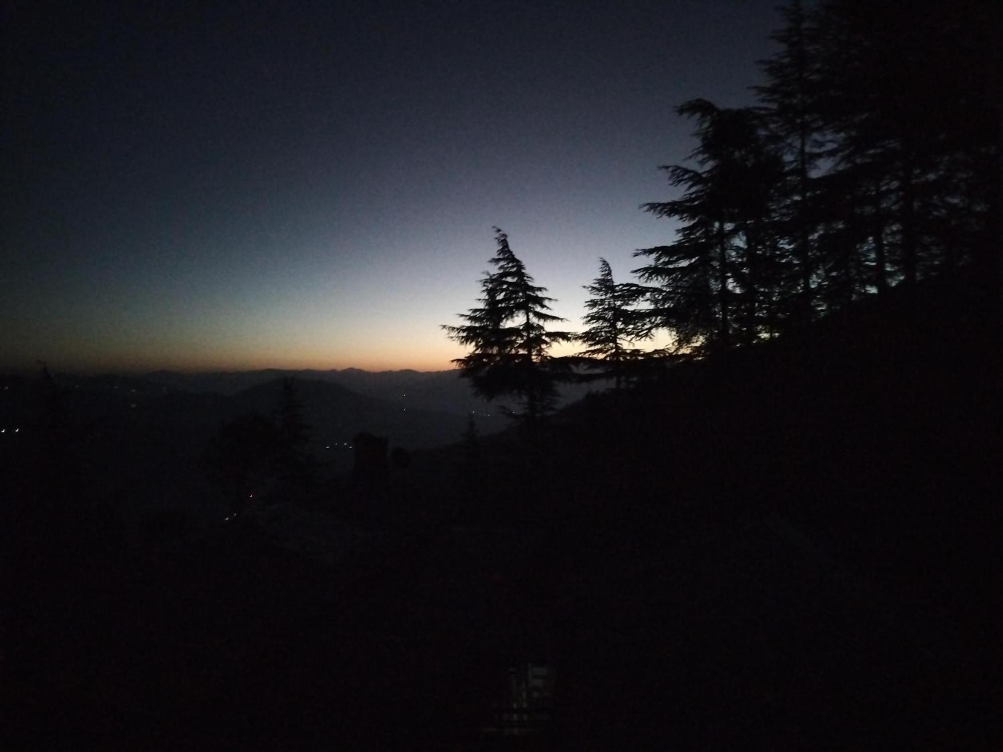Tree Valley Homestay Chail Exterior photo