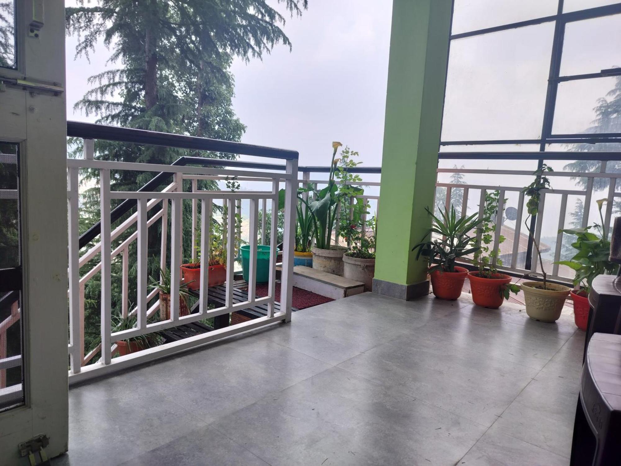 Tree Valley Homestay Chail Exterior photo