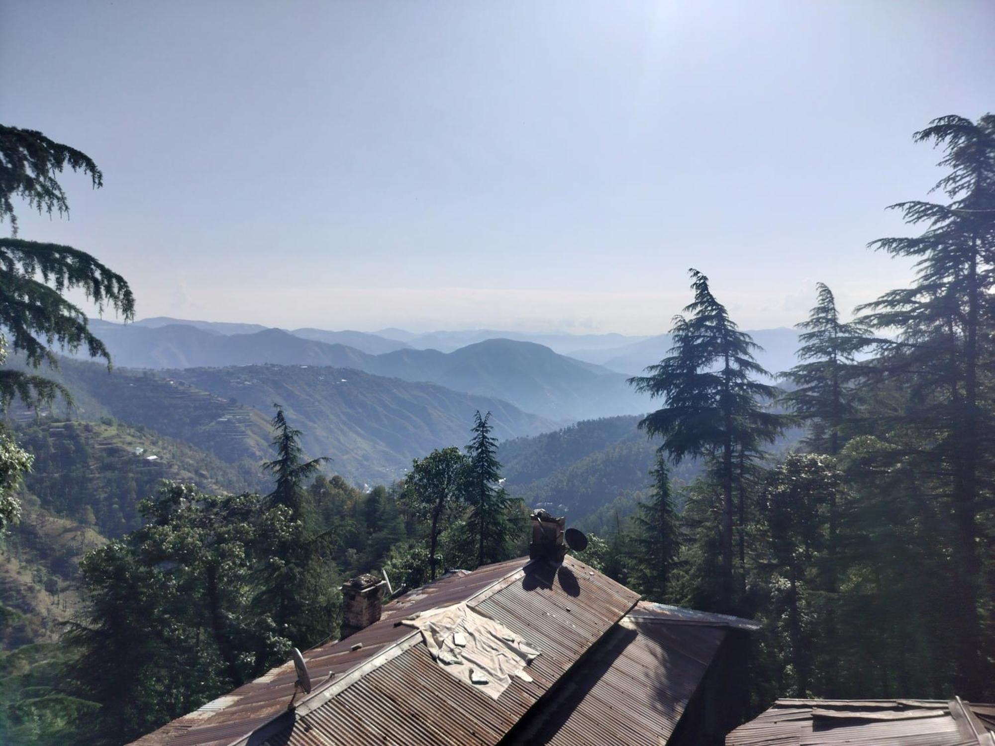 Tree Valley Homestay Chail Exterior photo