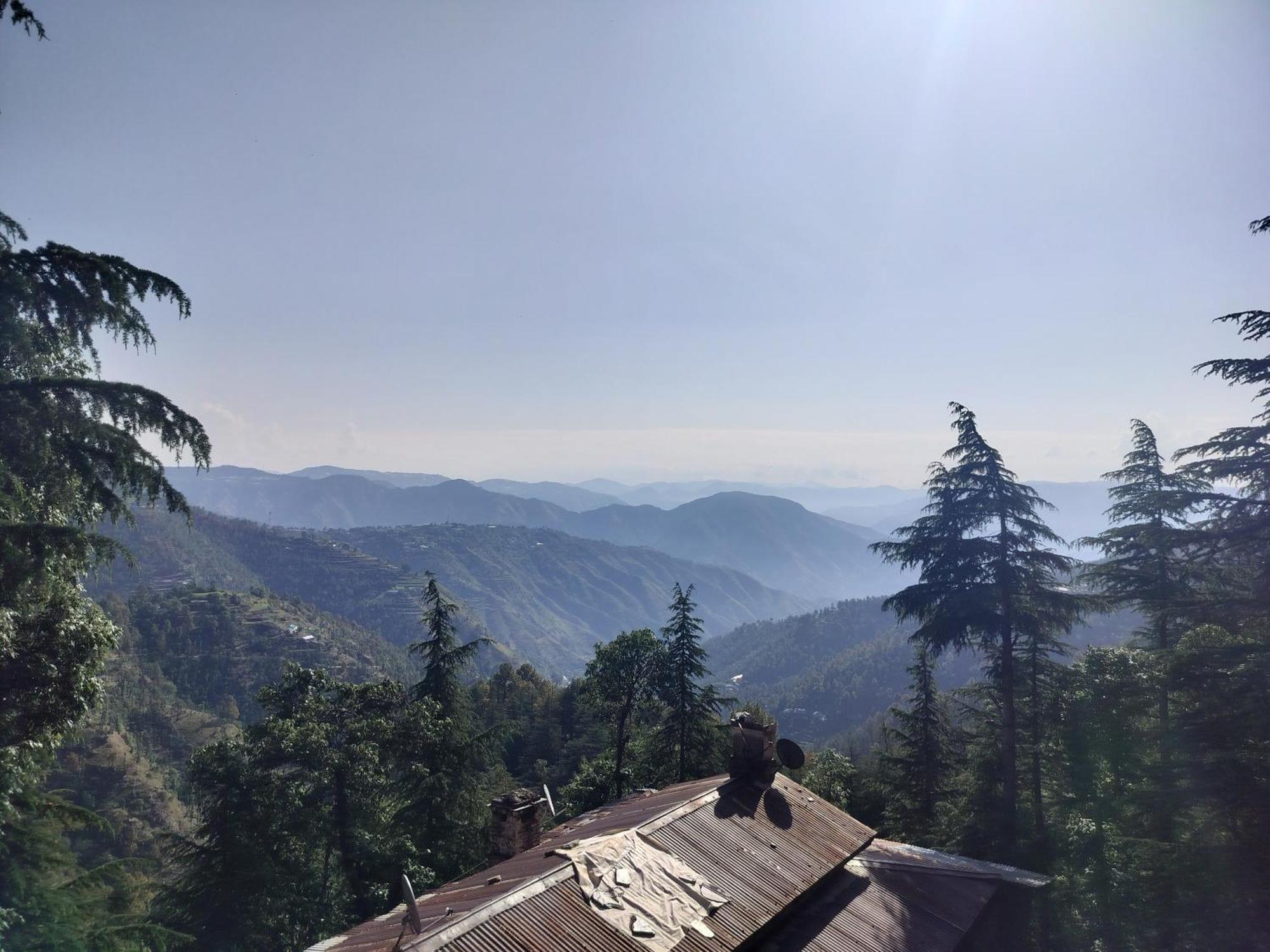 Tree Valley Homestay Chail Exterior photo